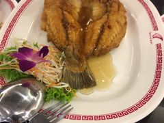 -中国城银都鱼翅酒楼