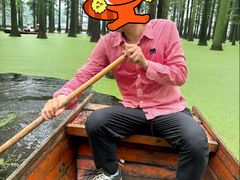 -渌洋湖湿地公园