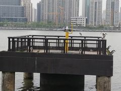 -秦皇岛路游船码头