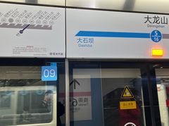-大龙山(地铁站)