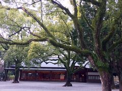 -热田神宫