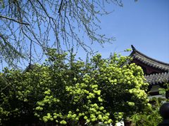 -常熟方塔园