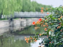 -元大都城垣遗址公园