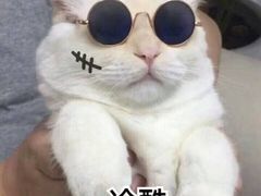 -晓午阳常熟炒浇面(红庙店)