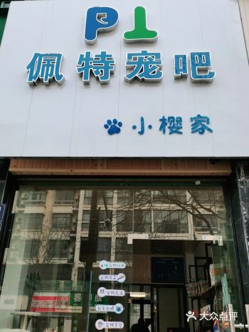 桐庐探店:步行街上的宝藏宠物店