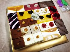 维尔纳斯蛋糕-维尔纳斯·生日蛋糕动物奶油冰淇淋蛋糕(人大店)