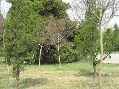 景点-白塘生态植物园