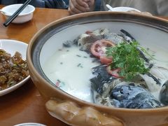 千岛湖浓汤鱼头-全乐鱼馆·淳牌有机鱼直营店