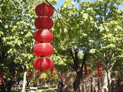 -大槐树寻根祭祖园