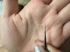 -上海市普陀区中心医院