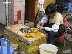 -大湾区中央湿地公园-十九涌