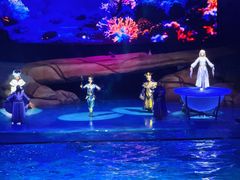 -海合安武汉极地海洋公园