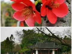 -莫愁湖公园