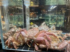 -璞御·海鲜·雪花牛肉局(宾水西道店)