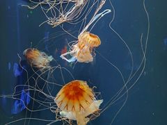 -成都浩海立方海洋公园