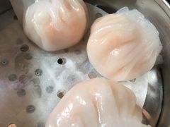 -金凯旋宫