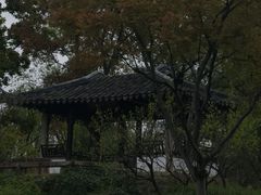 -拙政园
