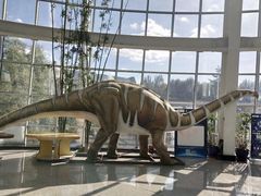 -国家自然博物馆