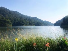-广州市石门国家森林公园