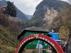 -栾川竹海野生动物园