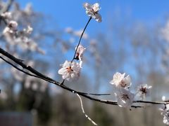 -滨河世纪广场公园