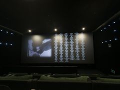 -深影国际影城(学院南路店CGS中国巨幕店)