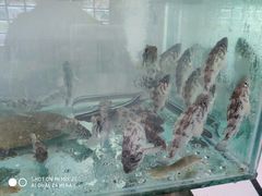 -福鑫源海鲜烧烤