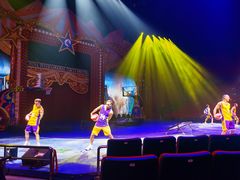 -珠海横琴长隆《卡卡虎奇遇记》