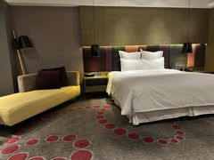 -南京禄口机场雅高铂尔曼大酒店