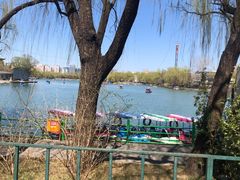 -朝阳公园游乐园