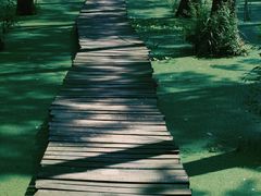 -渌洋湖湿地公园