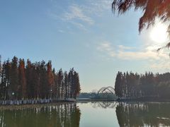-艾溪湖湿地公园