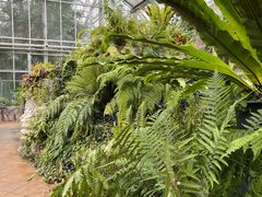 -国家植物园南园