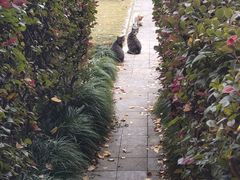 -西贝莜面村(近铁城市广场店)