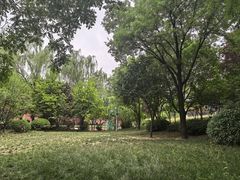 -西安曲江寒窑遗址公园