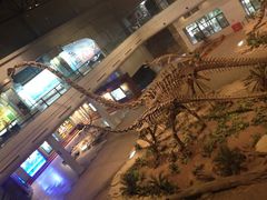 -自贡恐龙博物馆