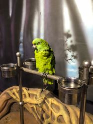 -酷嗒动物文化乐园(cutezoo西溪乐天城店)