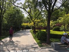 -迎泽公园