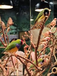 -Zoolung Zoolung动物主题公园(海信广场店)