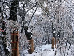 -少华山国家森林公园