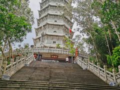 -深圳国际园林花卉博览园