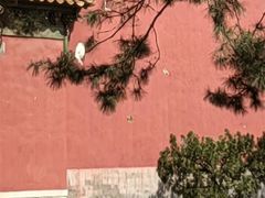 -北京市劳动人民文化宫(太庙)
