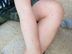 -三亚海棠湾万丽度假酒店