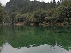 -石台牯牛降景区
