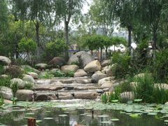 -武清南湖绿博园