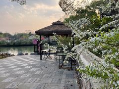 -无锡蠡湖国家湿地公园-蠡园