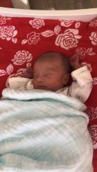 -喜宝母婴月子会所