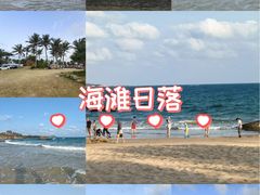 -东郊椰林