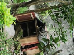 -野象谷景区