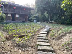 -福建鲤鱼洲酒店